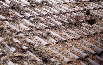 Black Torrington roof cleaning companies